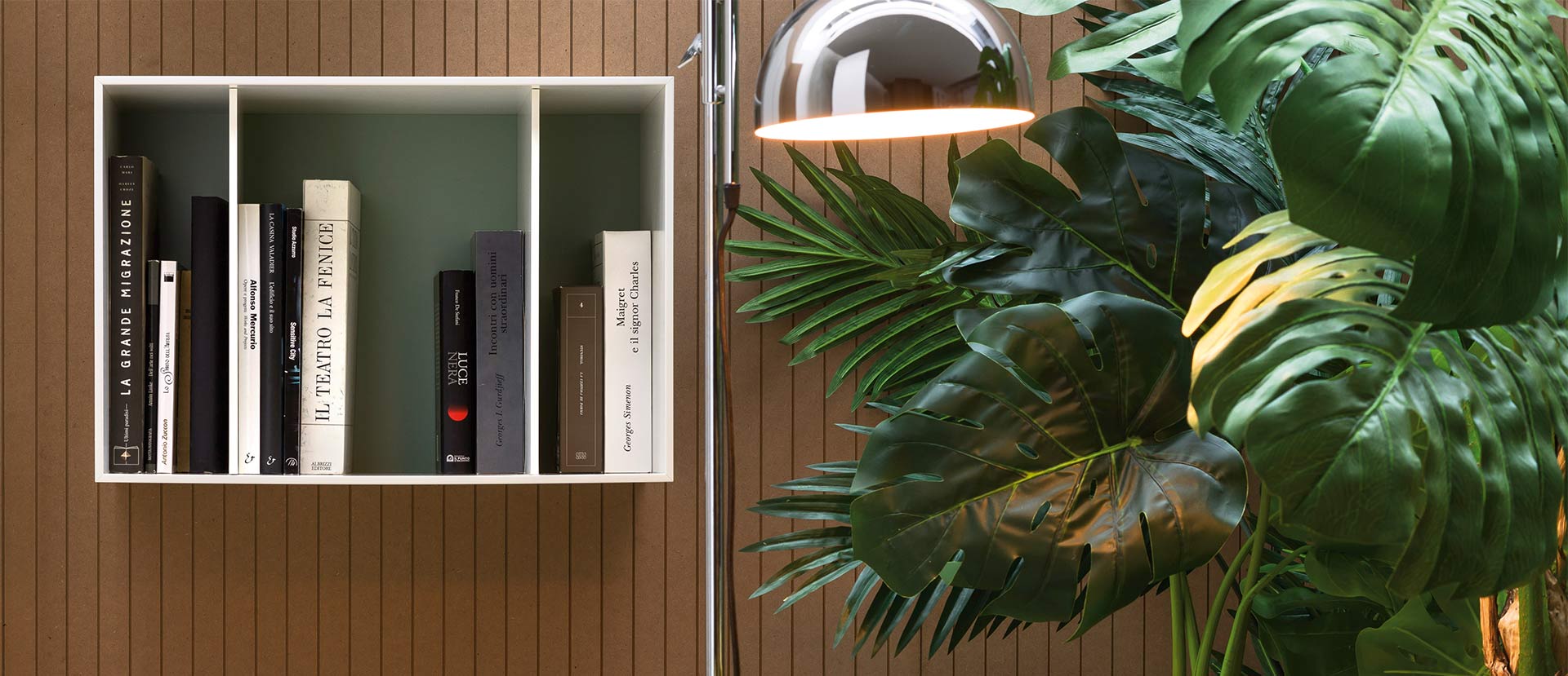 Trendpflanze Philodendron Trendpflanze Philodendron