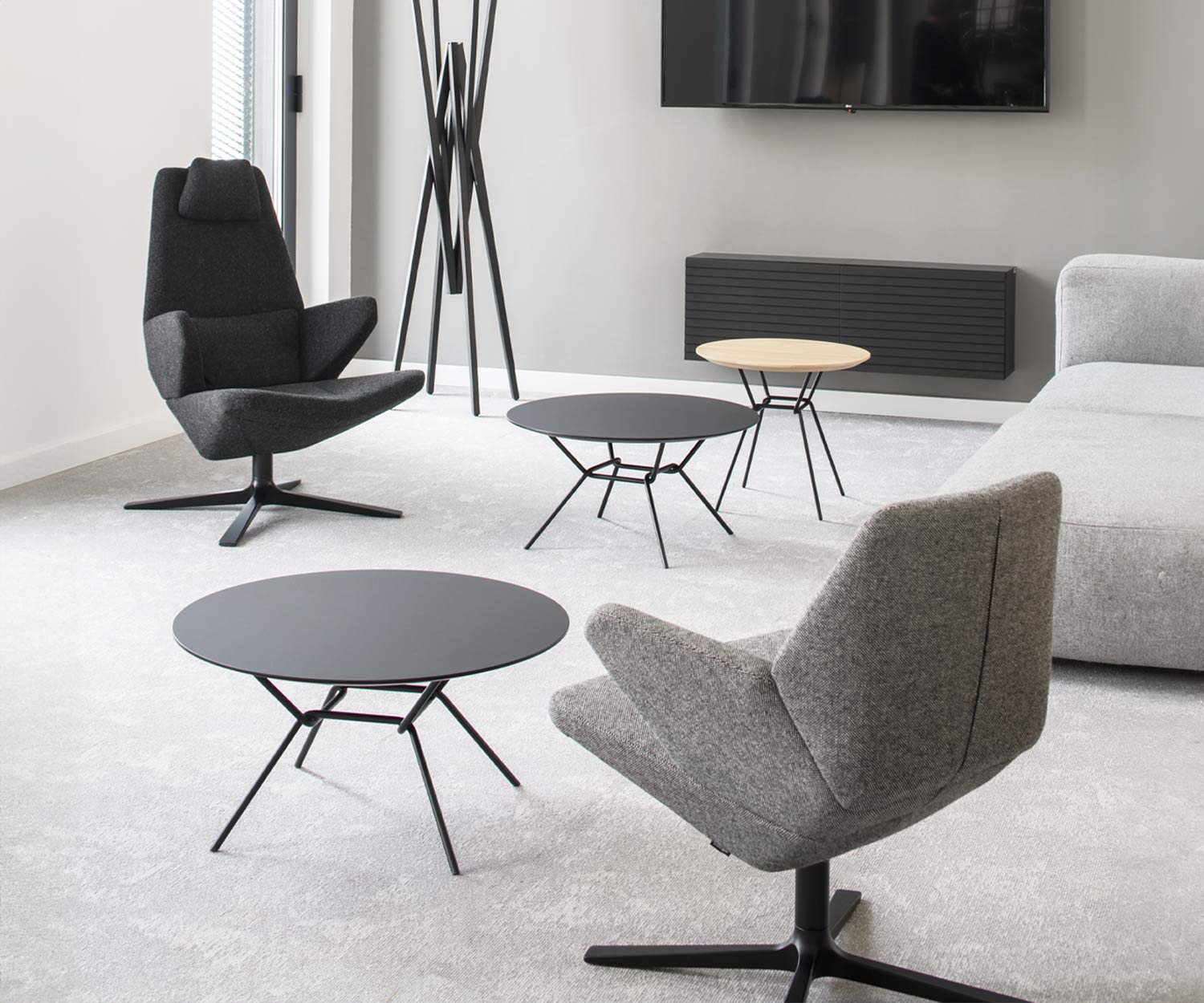 Prostoria Sessel Trifidae