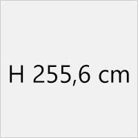 H 255,6 cm
